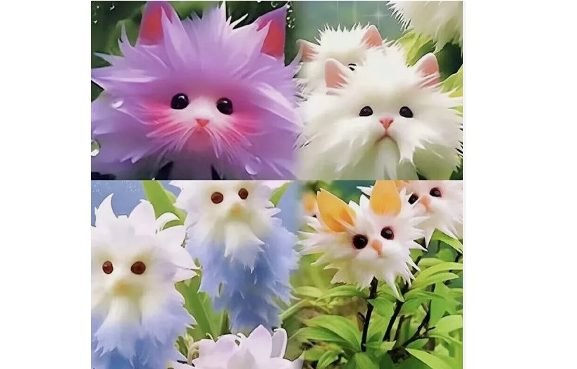 20x Rare cat Face Orchid Seeds Dracula Cute Simia Garden Plant Flower Decor