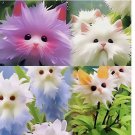20x Rare cat Face Orchid Seeds Dracula Cute Simia Garden Plant Flower Decor 20x Rare cat Face Orchid Seeds Dracula Cute Simia Garden Plant Flower Decor
