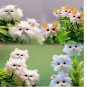 20x Rare cat Face Orchid Seeds Dracula Cute Simia Garden Plant Flower Decor