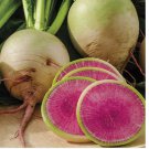 100 Watermelon Radish Seeds | Heirloom / Non-GMO