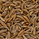 100 Caraway Seeds | Heirloom / Non-GMO