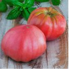 30 Pink Brandywine Tomato Seeds | Heirloom / Non-GMO