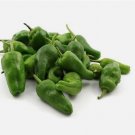 10 Padron Pepper Seeds | Heirloom / Non-GMO
