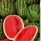 5 Jubilee Improved Watermelon Seeds | Heirloom / Non-GMO