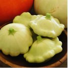 30 Bennings Green Tint Scallop Squash Seeds | Patty Pan Squash | Heirloom