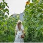 50pcs/pack Huge Giant Yellow Sun Flower seeds Competition Beauty Seed