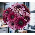 125+ Cherry Mix Rudbeckia Seeds  Annual Flower Seeds Garden