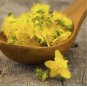 St. John&acirc;��s Wort Seeds (Hypericum perforatum) Yellow Medicinal Herb Non-GMO 500 Seeds
