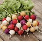 Rainbow Radish Seeds | Mix Radishes Seeds-Garden Vegetable Seed-Non-GMO 200+ Seeds