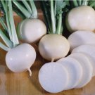 Seven Top, 600 Turnip Seeds(Brassica rapa) Heirloom, Non-GMO | USA