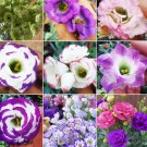 100 Mixed Eustoma (Lisianthus) Seeds – High Germination Rate