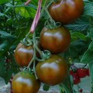 'Big Black Beauty' Tomato 6 Seeds - Heirloom Variety, High-Yield & Nutrient-Rich