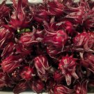 25+ Roselle Seeds I Jamaican Sour-leaf I Sorrel Hibiscus sabdariffa I NON GMO