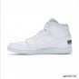 Air Jordan 1 Mid SE Nike Swoosh On Tour 2020 Shoes Sneakers