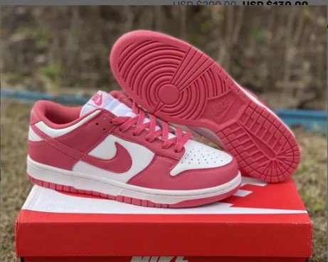 Dunk Low Archeo Pink Shoes Sneakers