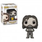 Sirius Black Harry Potter #67 Funko POP! Action Figure Vinyl PVC Toy