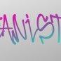 Graffiti Style Custom Lettering. Banners, Signs, Car Decals, Walls, Garage