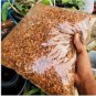 Coconut Husk dry chips Organic Natural Fiber Orchids Anthurium Growing Media