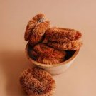 Coconut Fiber dry Brush Eco Friendly 100% natural made sri lanka (2 brush)