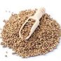 Ceylon Pure Dried Coriander Whole Seeds Organic Fresh High Quality