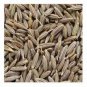 Pure Organic Cumin Seeds high quality ceylon