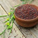Mustard Seed ORGANIC 100% Natural
