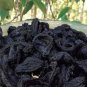 Healthy Dried Garcinia Ceylon Natural Goraka Cambogia Organic Quality 100%