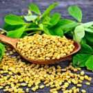 ORGANIC Fenugreek Seeds Premium Quality!