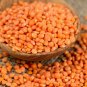 Bulk Dried Red Lentils