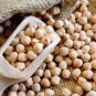 Dried chickpea seeds ceylon organic natural grains vegetable chickpea whole seed