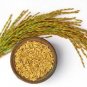 Rice  Seeds Best 100% organic  Ceylon White Rice Seeds