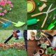 Lawn & Garden