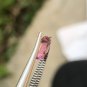 Padparadscha Sapphire 0.71 CRT