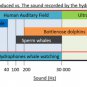 Professional Hydrophone for Underwater Sound Recording HY-01