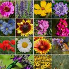 1200 seeds ALL PERENNIAL Wild Flower Mix. Pollinator Food, Garden Heirloom