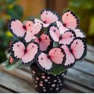 Moonlight butterfly begonia Flower 40 seeds Beautiful Spring Plant Pink US seller Moonlight butterfly begonia Flower 40 seeds Beautiful Spring Plant Pink US seller