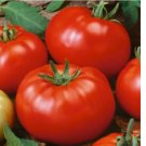 Beefsteak Tomato50  Seeds | Heirloom / Slicing | Non-GMO