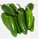 Early Jalapeno Pepper 150  Seeds | Heirloom / Non-GMO