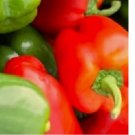California Wonder Bell Pepper 100 Seeds | NON-GMO Pepper Seeds | Heirloom Seeds