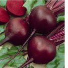 DETROIT DARK RED BEET 200 SEEDS FRESH HARVEST FOR GARDENS