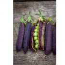 BLUE SHELLING PEA 140 SEEDS, NON - GMO
