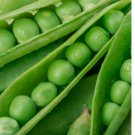Green Arrow Peas -30  Seeds - Non Gmo - Heirloom Seeds