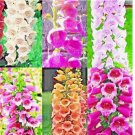 FOXGLOVE MIX 3000 SEEDS SPRING PERENNIAL FLOWERS EXCELSIOR HUMMINGBIRDS USA
