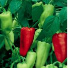 Sweet Pepperoncini Pepper 25 Seeds | NON-GMO