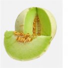 HONEYDEW 100 SEEDS SPRING SUPER SWEET FRESH MELON FRUIT NON-GMO