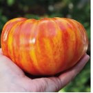 BIG RAINBOW TOMATO 120 SEEDS - HEIRLOOM - ORGANIC - NON GMO
