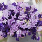 15 SEEDS Sweet Pea PURPLE MIX Fragrant Climbing Vine Purple Flowers Non-GMO
