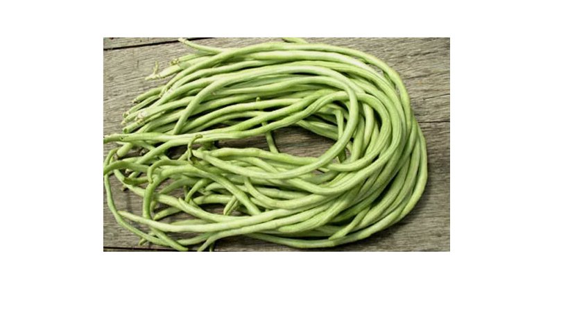 Yard Long Bean 15 seeds Asian Chinese Long Bean String beans Productive USA