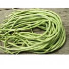 Yard Long Bean 15 seeds Asian Chinese Long Bean String beans Productive USA