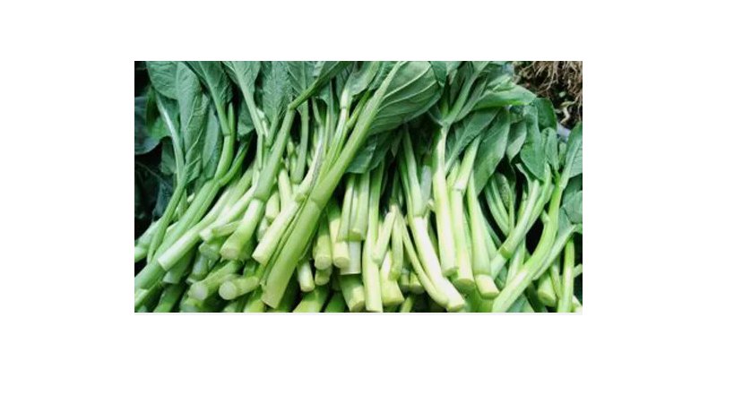 Asian Yu Choy Choi Sum Choy Sum Chinese Flowering Cabbage Veggies USA 200 SEEDS